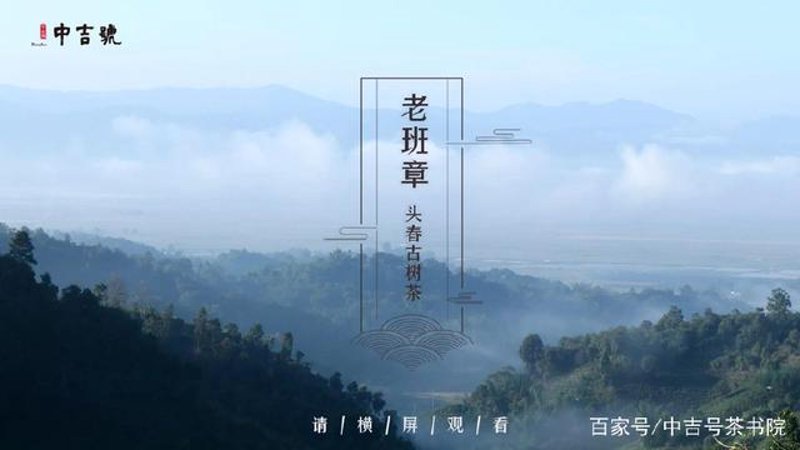 古树纯料